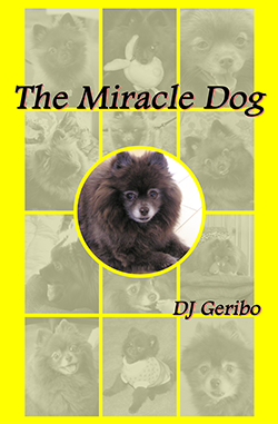 the-miracle-dog-by-dj-geribo-cover-image